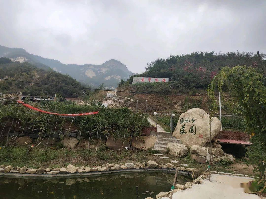 弗兰克：伊万-托尼回归就像签下一名能进20球的英超前锋