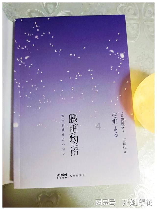 可爱猫咪救援