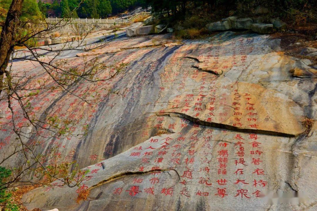笑脸球的冒险之旅