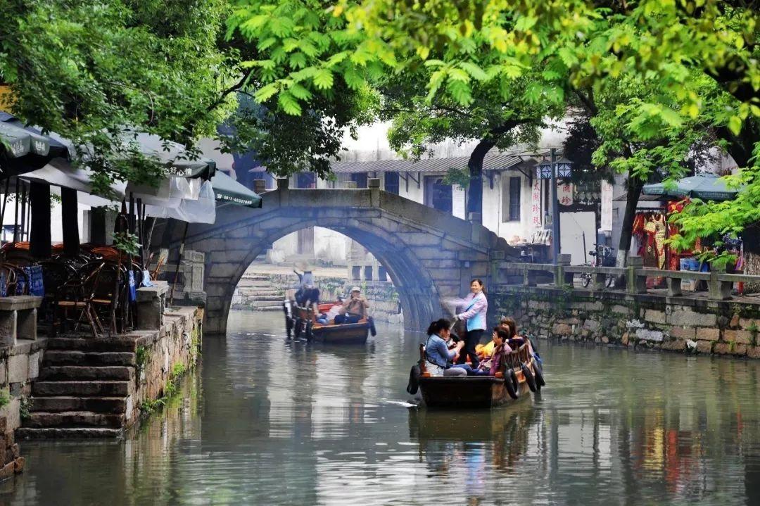 逃离大犀牛出没地